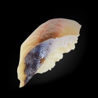 Saba nigiri